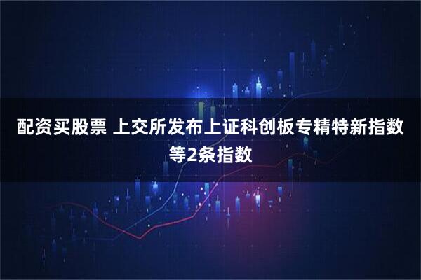 配资买股票 上交所发布上证科创板专精特新指数等2条指数