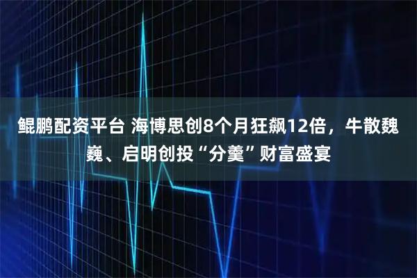 鲲鹏配资平台 海博思创8个月狂飙12倍，牛散魏巍、启明创投“分羹”财富盛宴