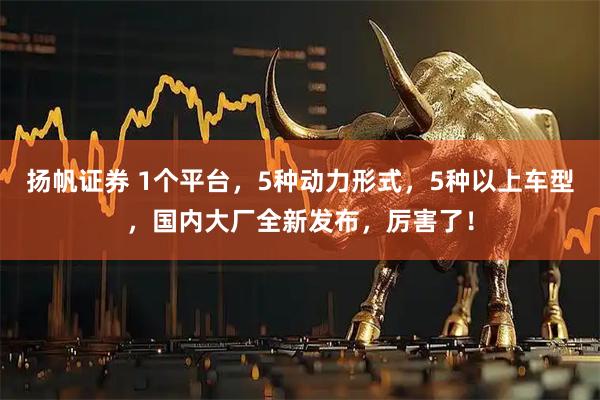 扬帆证券 1个平台，5种动力形式，5种以上车型，国内大厂全新发布，厉害了！