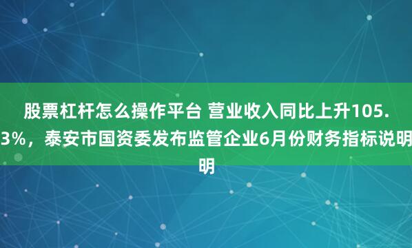 股票杠杆怎么操作平台 营业收入同比上升105.3%，泰安市国资委发布监管企业6月份财务指标说明