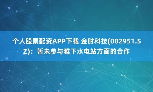 个人股票配资APP下载 金时科技(002951.SZ)：暂未参与雅下水电站方面的合作